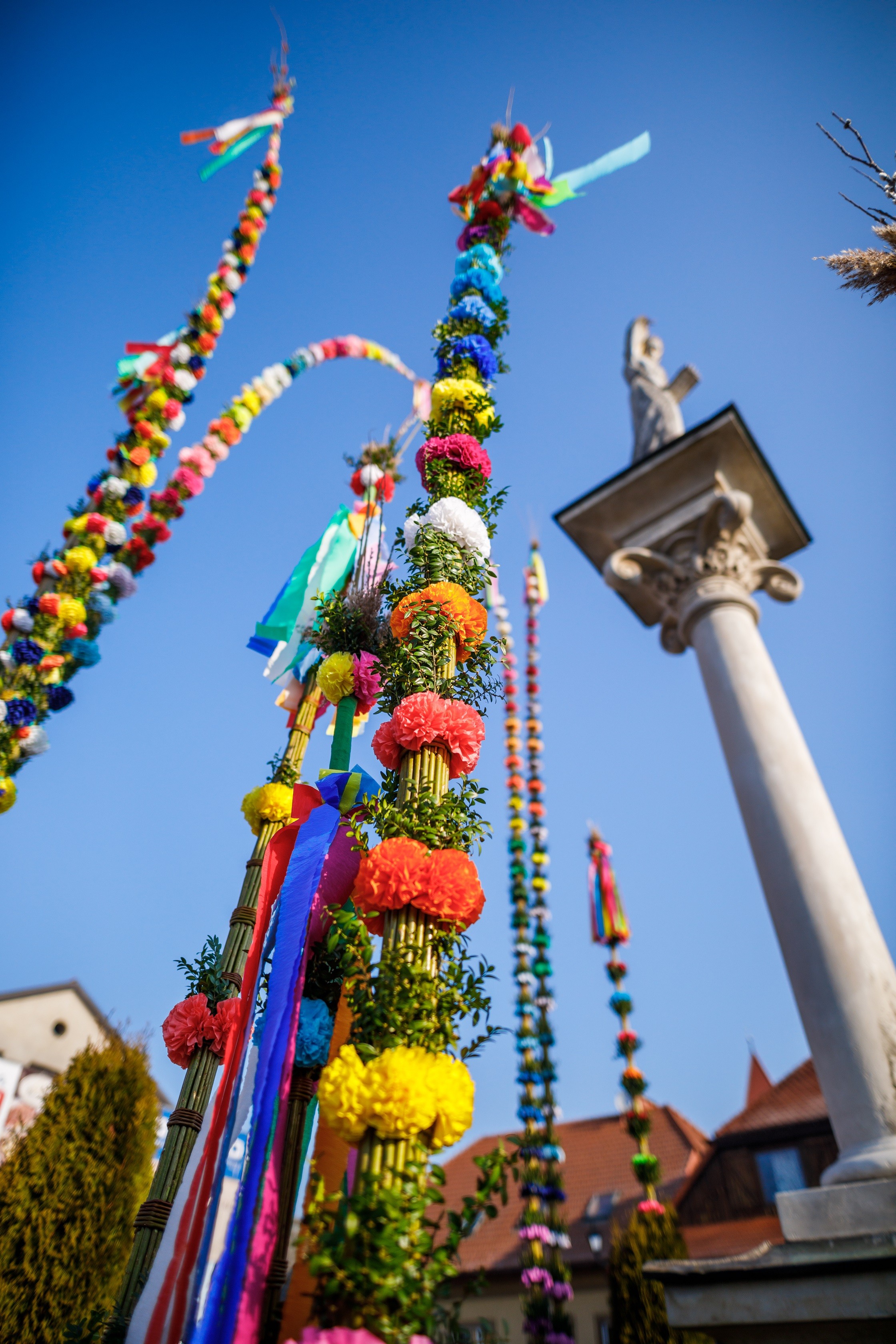 kilka wysokich palm na tle pomnika św. Szymona w Lipnicy Murowanej